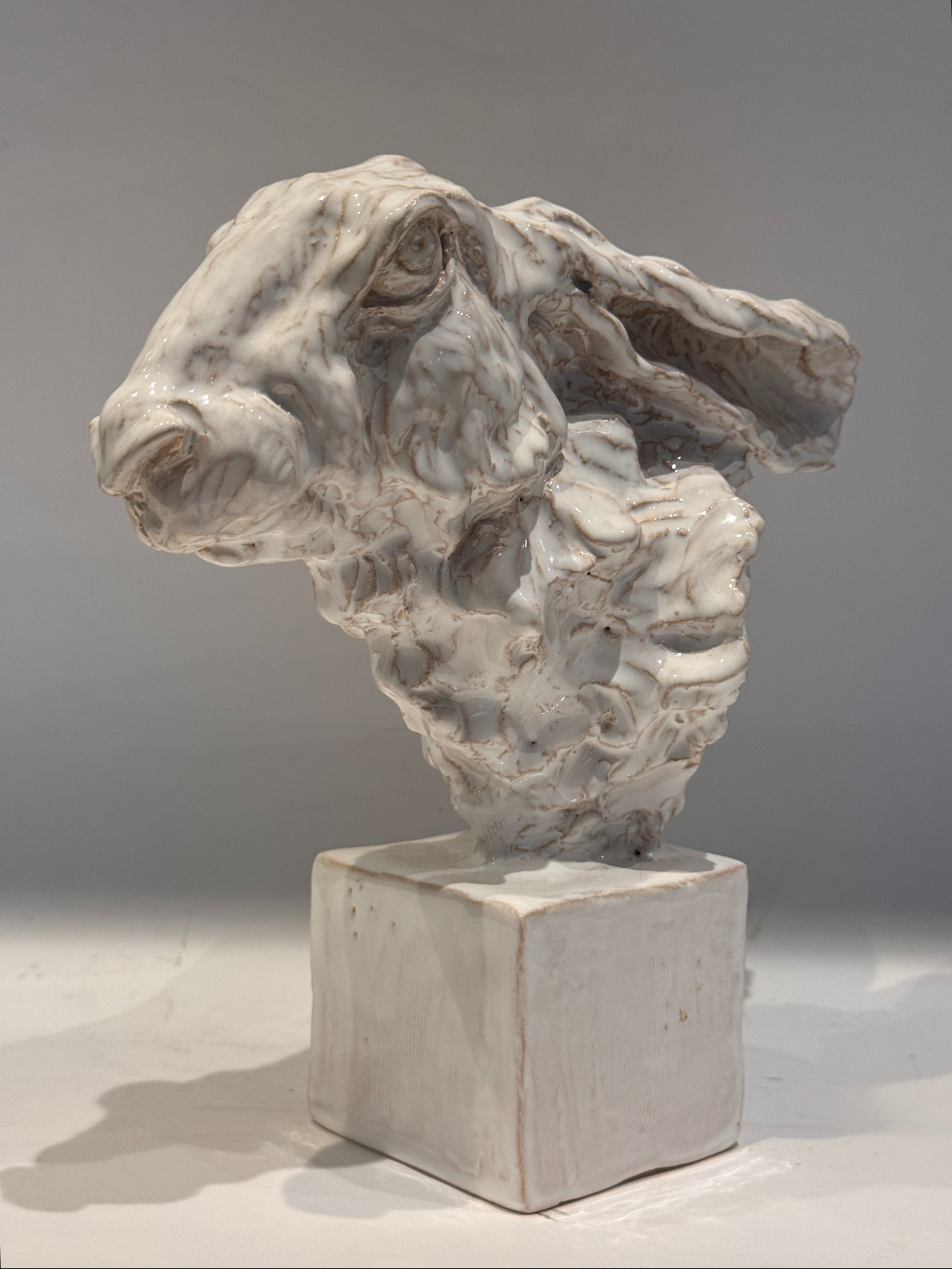 Buste de lièvre - jean-paul gourdon – sculpture en terre cuite émaillée – Image 2